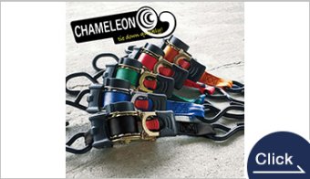 Chameleon Quick Belt